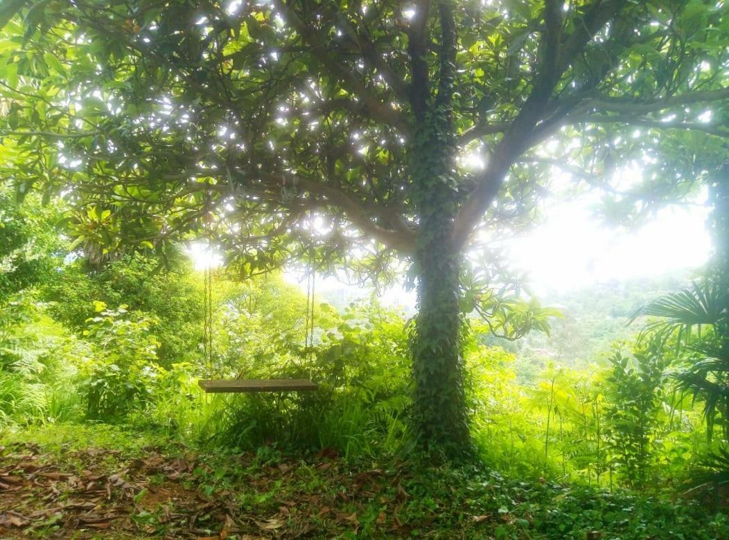 Guesthouse Eco 차크비 외부 사진